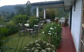 Srihelyes Inn